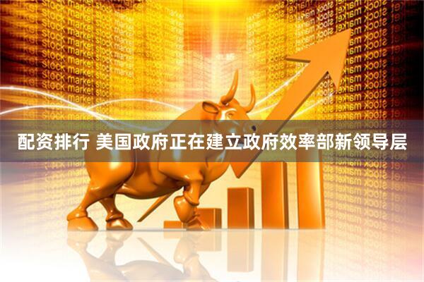 配资排行 美国政府正在建立政府效率部新领导层